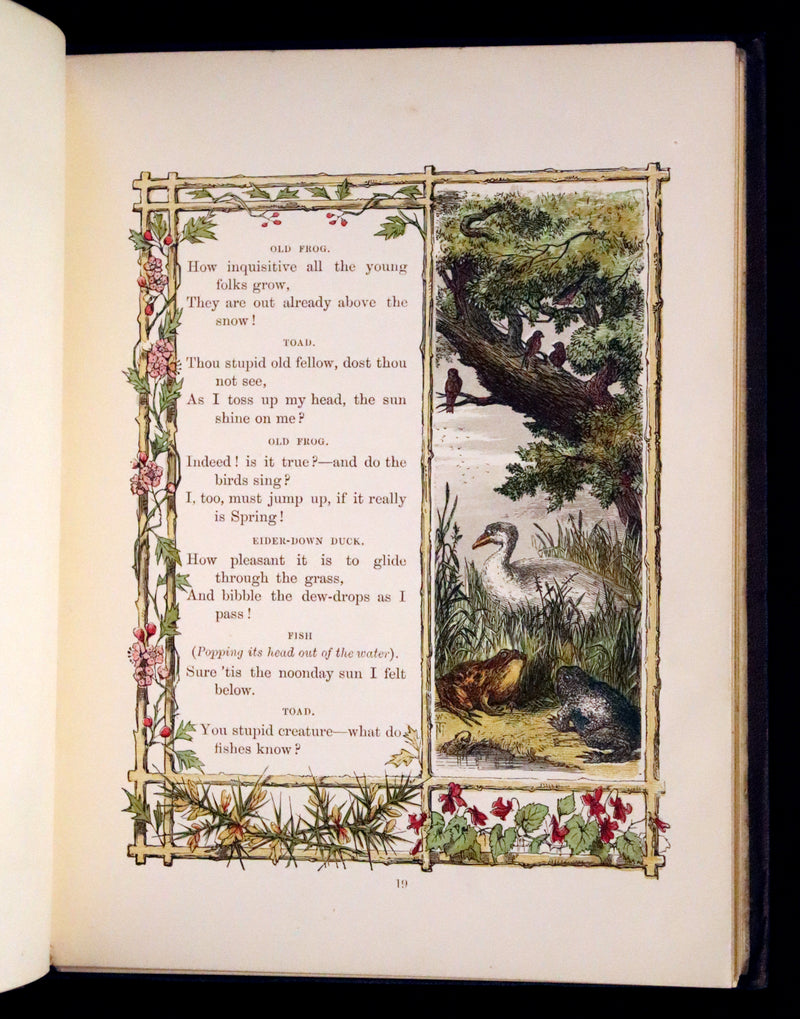 1861 Scarce Book - Little Bird Red and Little Bird Blue: A Tale of the Woods.