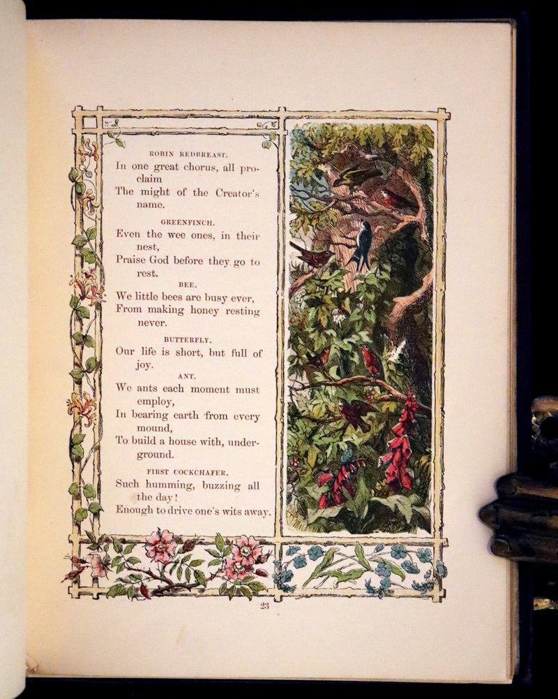 1861 Scarce Book - Little Bird Red and Little Bird Blue: A Tale of the Woods.