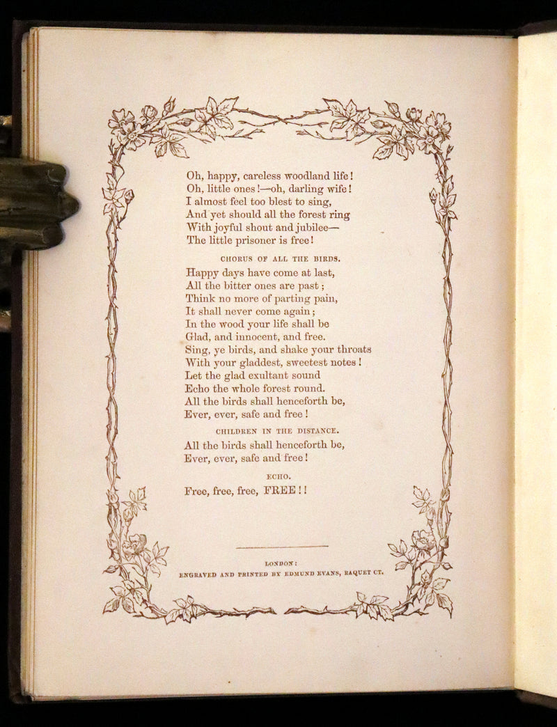 1861 Scarce Book - Little Bird Red and Little Bird Blue: A Tale of the Woods.