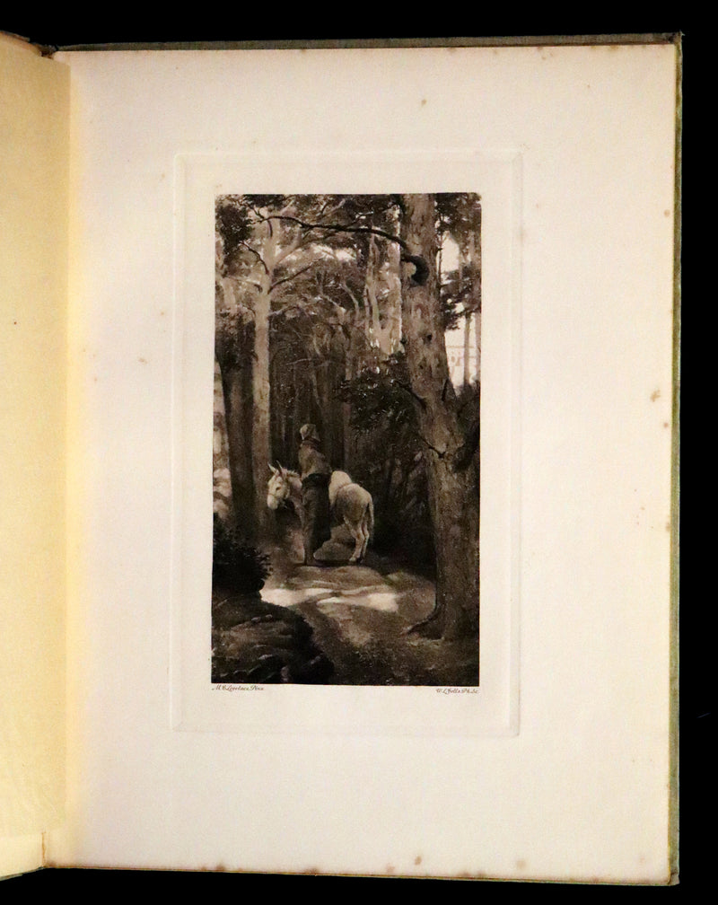 1895 Scarce Book - The Story of Zelinda and the Monster or, Beauty and the Beast