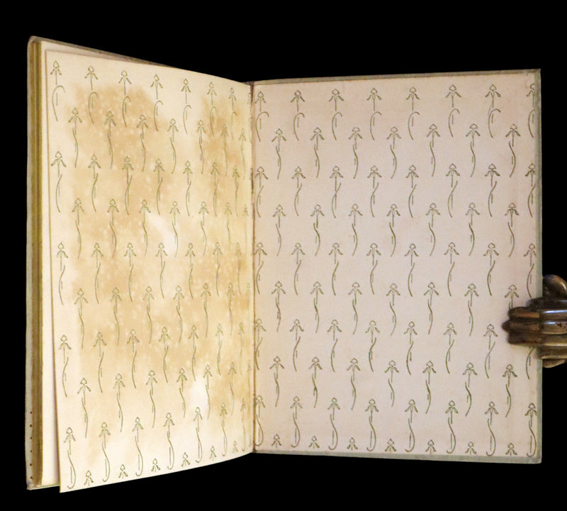 1895 Scarce Book - The Story of Zelinda and the Monster or, Beauty and the Beast