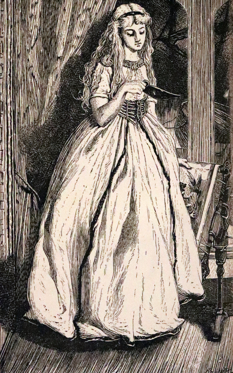 1881 Rare Book - Poems of Edgar Allan POE ; The Raven, Lenore, Ulalume,...