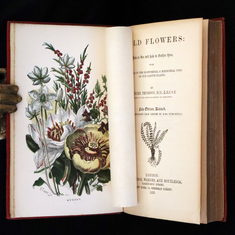 1859 Scarce Book - Wild Flowers by Spencer Thomson, illustrated by Noel Humphreys