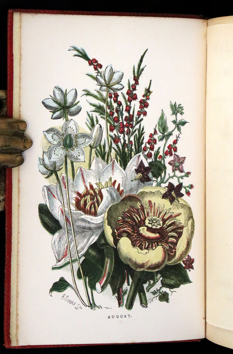 1859 Scarce Book - Wild Flowers by Spencer Thomson, illustrated by Noel Humphreys
