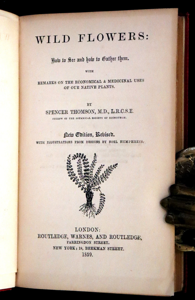 1859 Scarce Book - Wild Flowers by Spencer Thomson, illustrated by Noel Humphreys