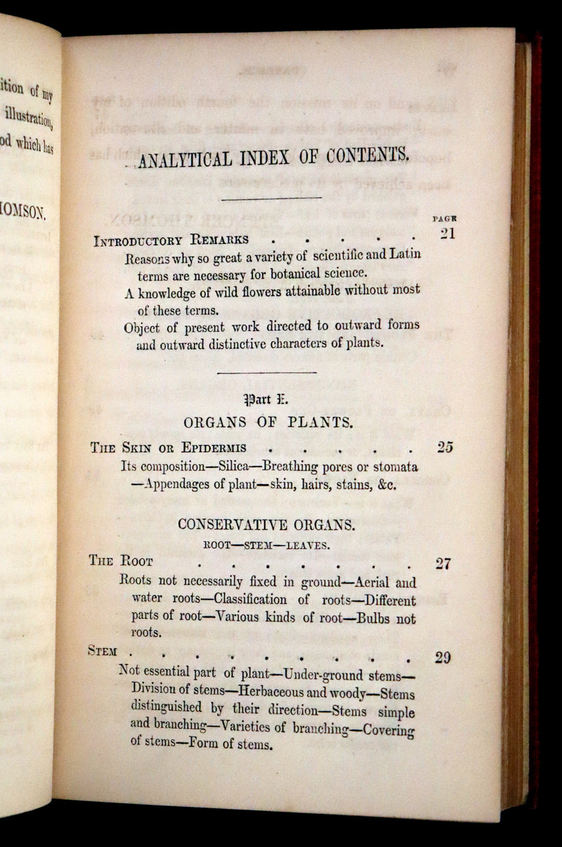 1859 Scarce Book - Wild Flowers by Spencer Thomson, illustrated by Noel Humphreys