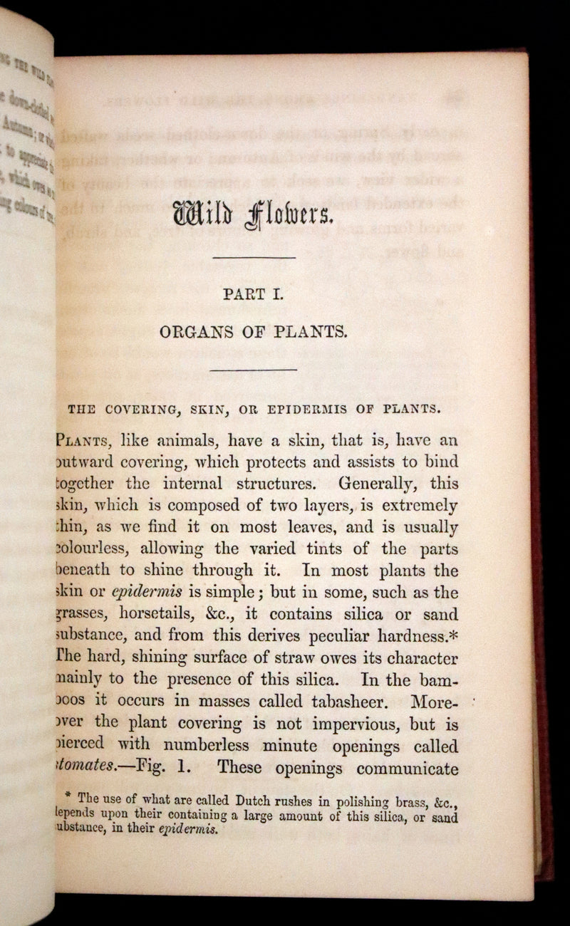 1859 Scarce Book - Wild Flowers by Spencer Thomson, illustrated by Noel Humphreys