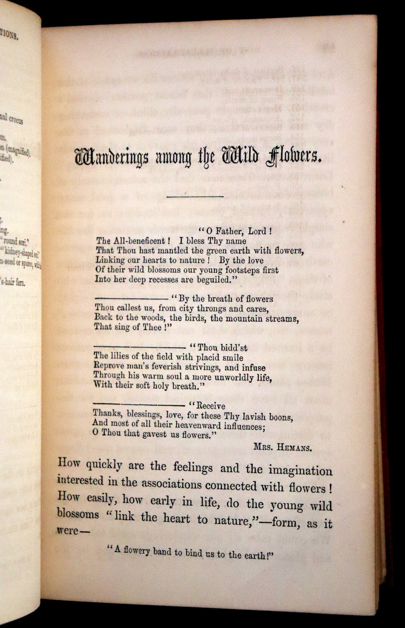 1859 Scarce Book - Wild Flowers by Spencer Thomson, illustrated by Noel Humphreys