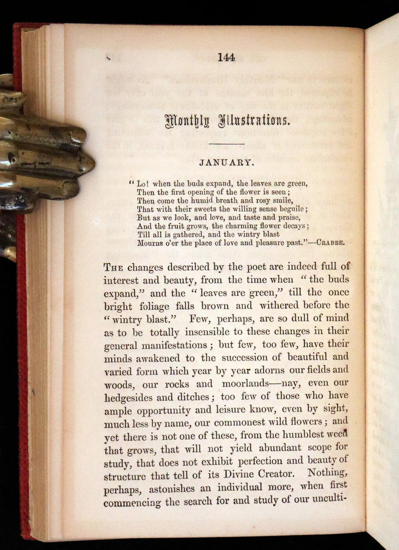 1859 Scarce Book - Wild Flowers by Spencer Thomson, illustrated by Noel Humphreys