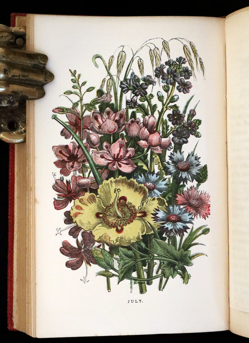 1859 Scarce Book - Wild Flowers by Spencer Thomson, illustrated by Noel Humphreys