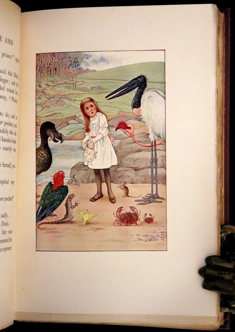 1908 Scarce Book - Alice in Wonderland Illustrated by Millicent Sowerby