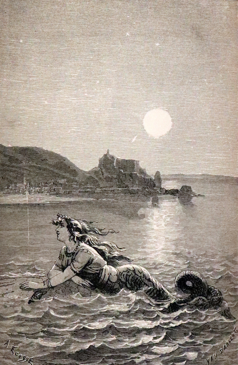 1897 Rare Book - Hans Christian Andersen's Fairy Tales with Illustrations