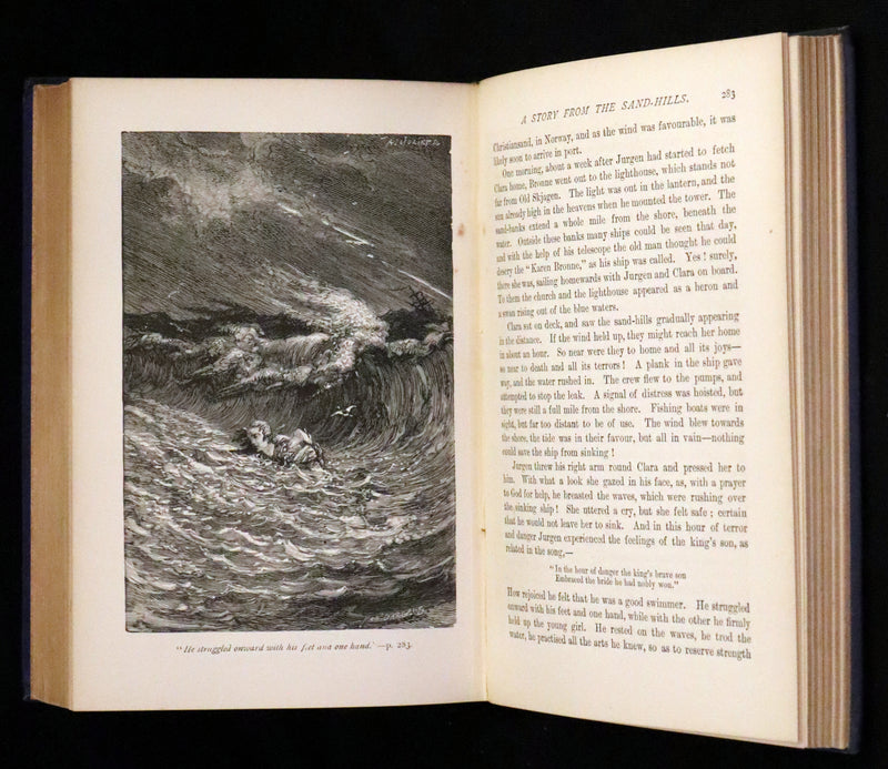 1897 Rare Book - Hans Christian Andersen's Fairy Tales with Illustrations