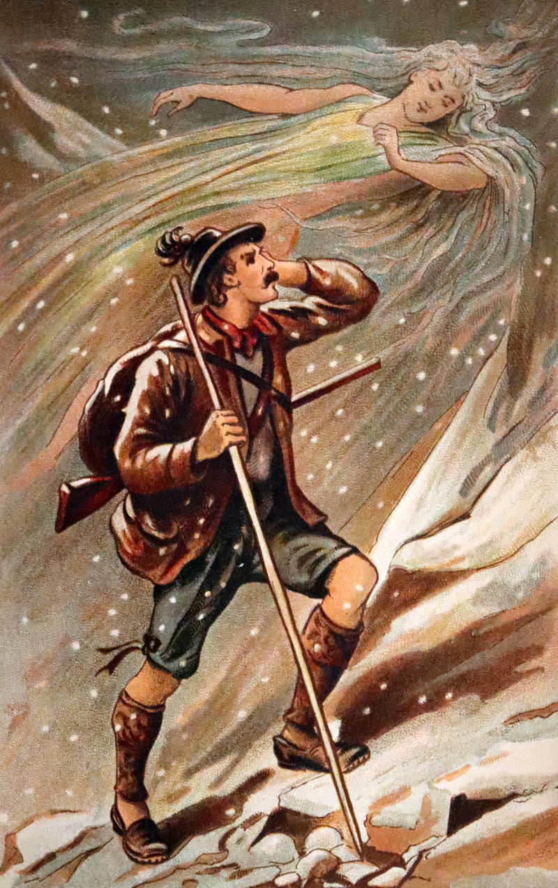 1897 Rare Book - Hans Christian Andersen's Fairy Tales with Illustrations