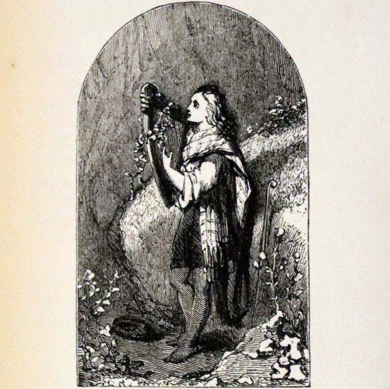 1853 Rare Book - The Pleasures of the Imagination by Mark Akenside