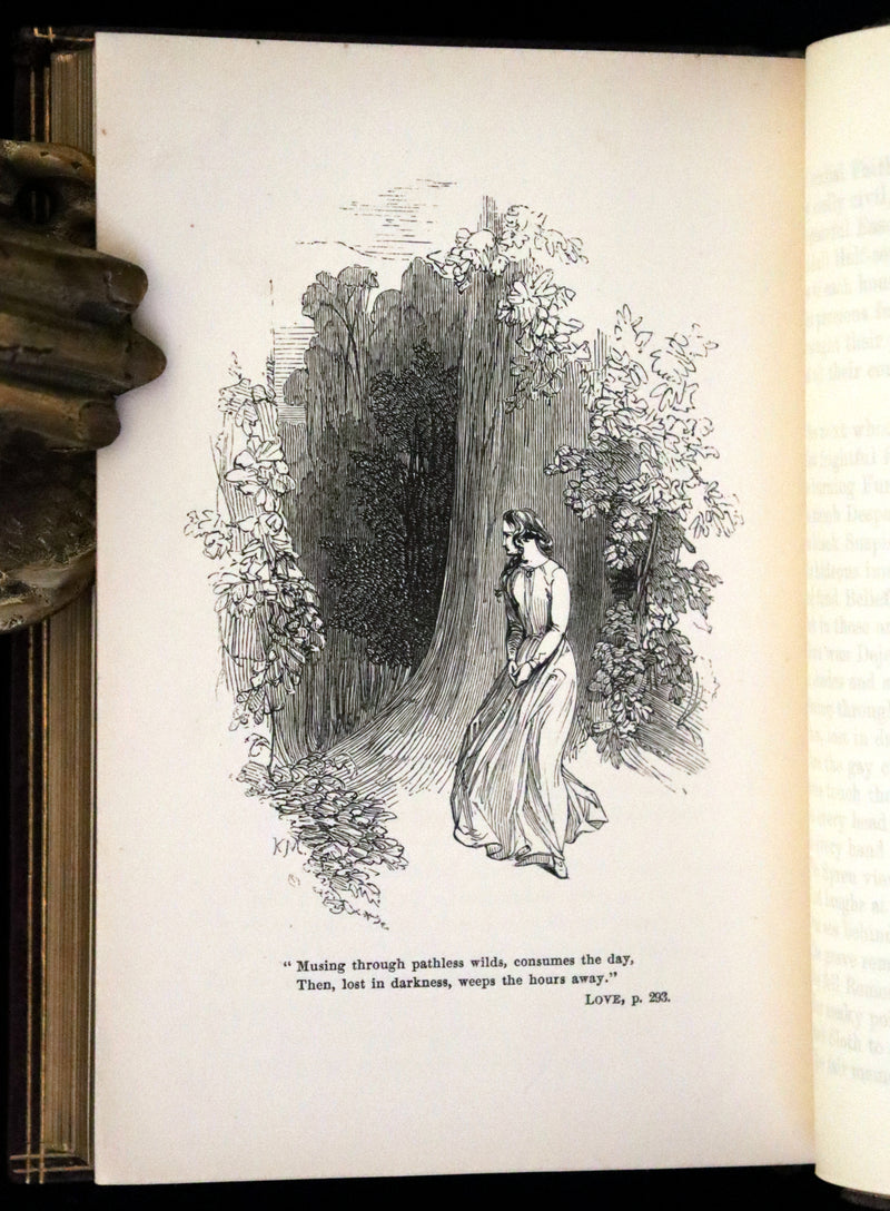 1853 Rare Book - The Pleasures of the Imagination by Mark Akenside