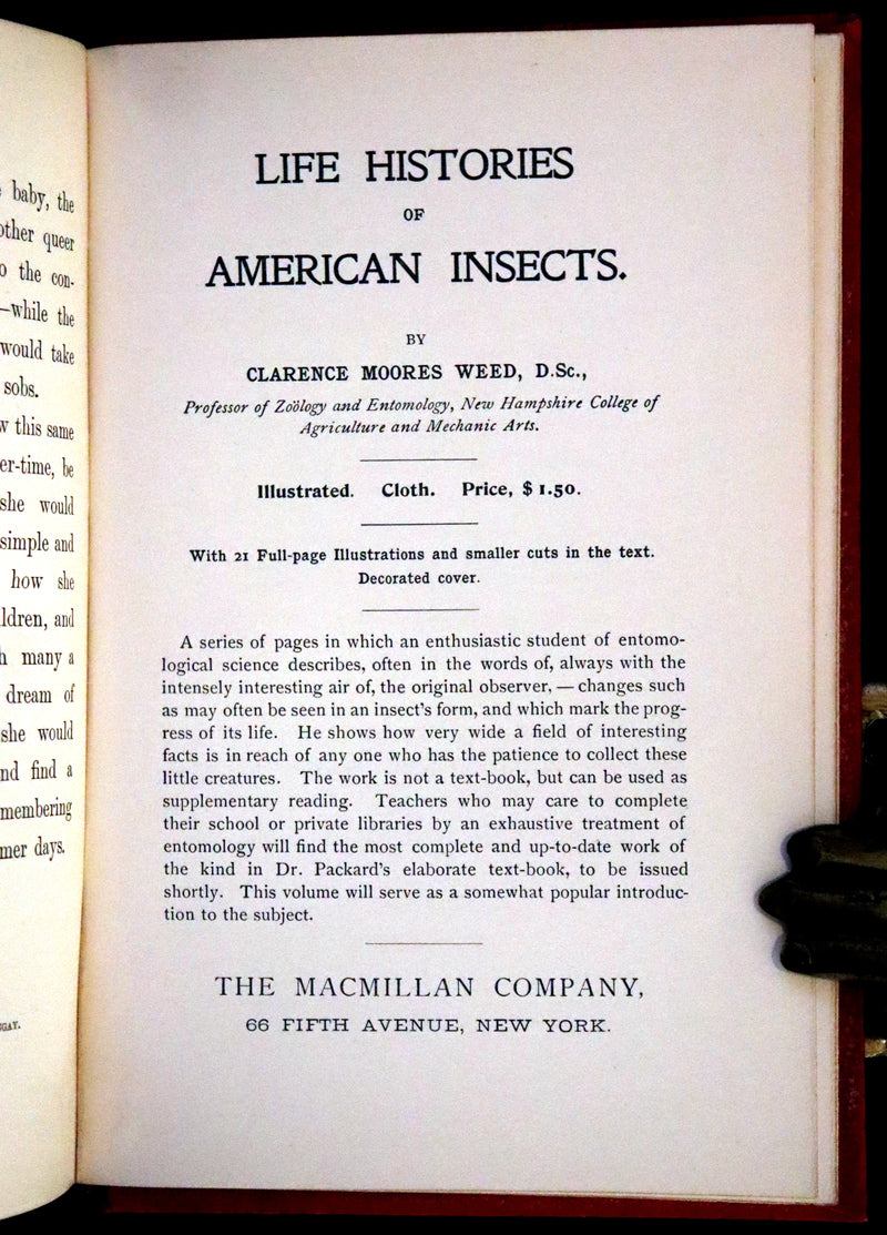 1899 Rare Book - Alice' Adventures in Wonderland by Lewis Carroll
