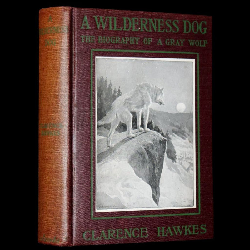 1910 First Edition - A Wilderness Dog: The Biography of a Gray Wolf.