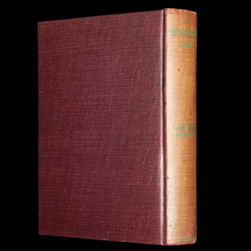 1910 First Edition - A Wilderness Dog: The Biography of a Gray Wolf.