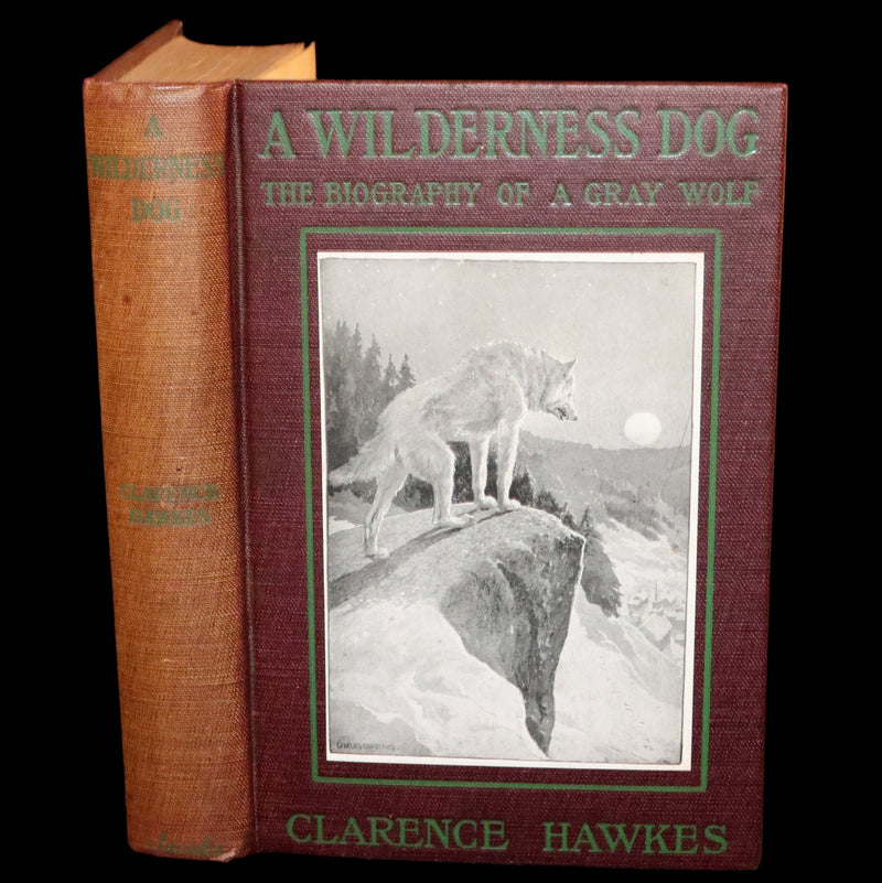 1910 First Edition - A Wilderness Dog: The Biography of a Gray Wolf.