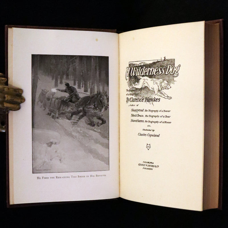 1910 First Edition - A Wilderness Dog: The Biography of a Gray Wolf.