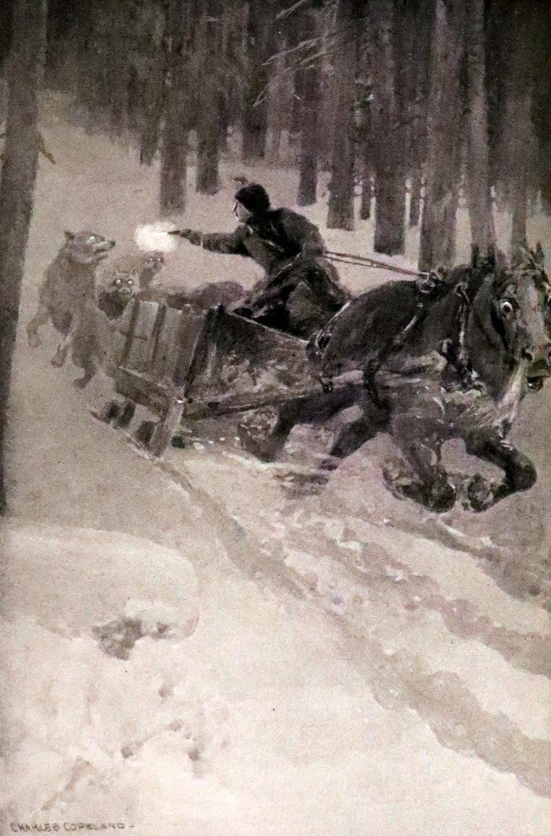 1910 First Edition - A Wilderness Dog: The Biography of a Gray Wolf.