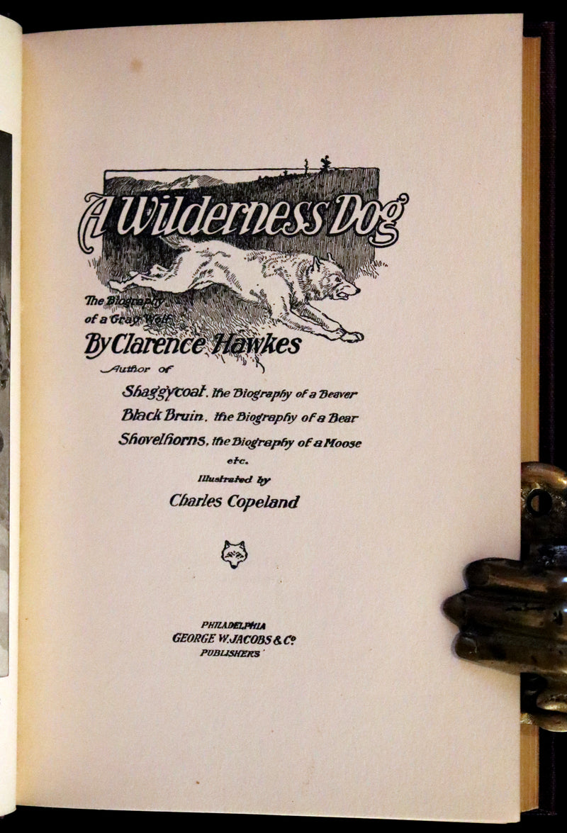 1910 First Edition - A Wilderness Dog: The Biography of a Gray Wolf.