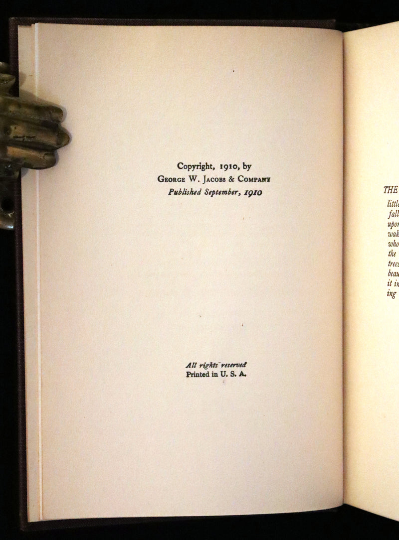 1910 First Edition - A Wilderness Dog: The Biography of a Gray Wolf.