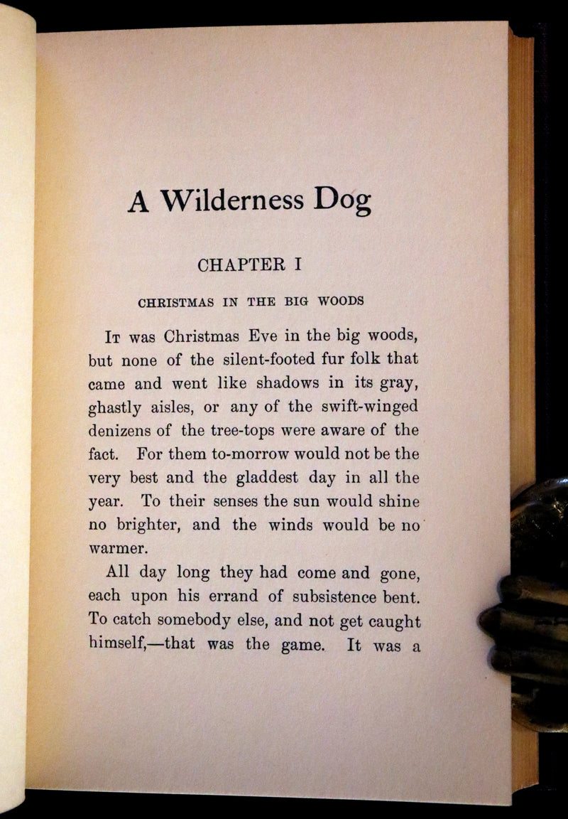 1910 First Edition - A Wilderness Dog: The Biography of a Gray Wolf.