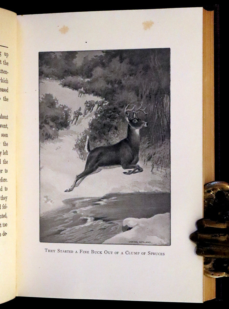 1910 First Edition - A Wilderness Dog: The Biography of a Gray Wolf.