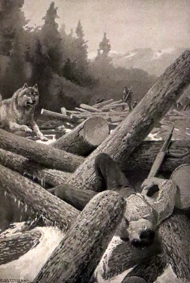 1910 First Edition - A Wilderness Dog: The Biography of a Gray Wolf.