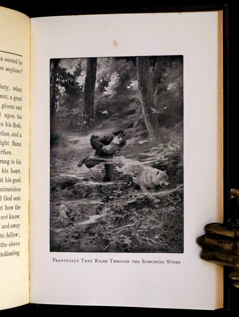 1910 First Edition - A Wilderness Dog: The Biography of a Gray Wolf.