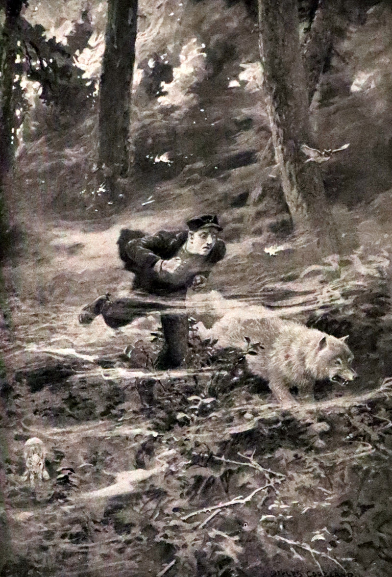 1910 First Edition - A Wilderness Dog: The Biography of a Gray Wolf.