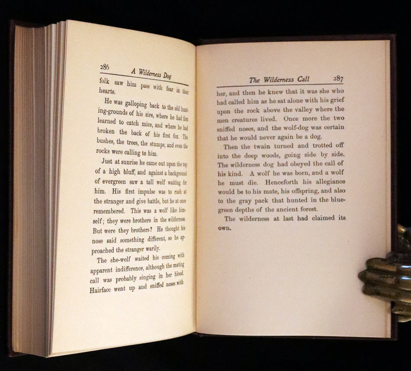 1910 First Edition - A Wilderness Dog: The Biography of a Gray Wolf.