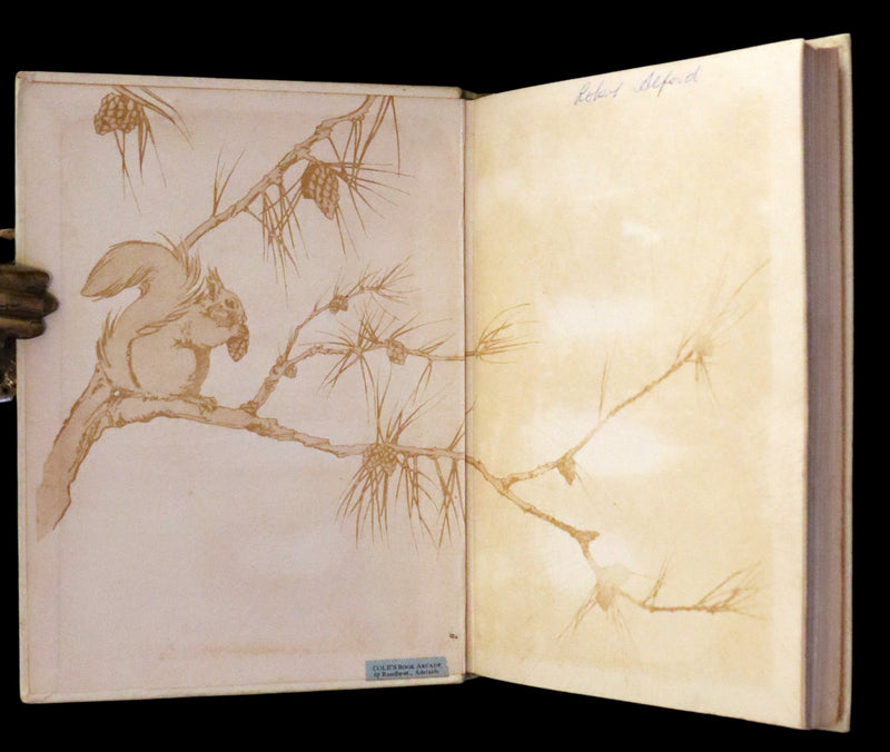 1914 First ED - How I Tamed the Wild Squirrels illustrated by Honor C. Appleton