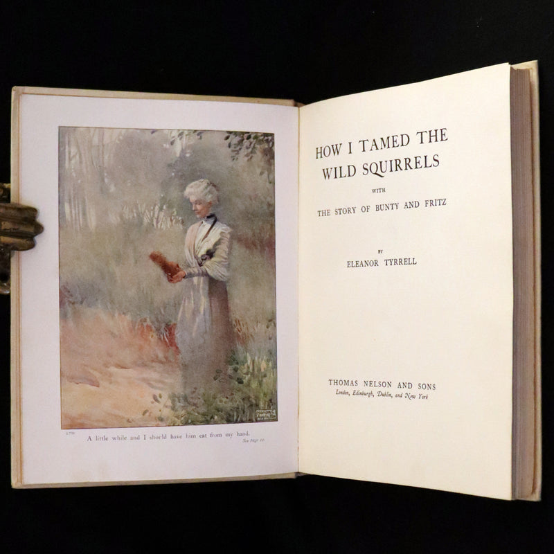 1914 First ED - How I Tamed the Wild Squirrels illustrated by Honor C. Appleton