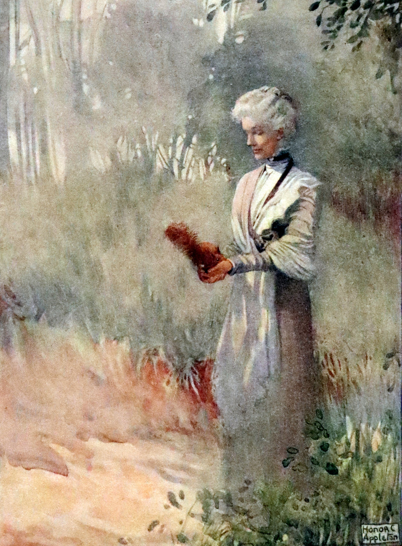 1914 First ED - How I Tamed the Wild Squirrels illustrated by Honor C. Appleton