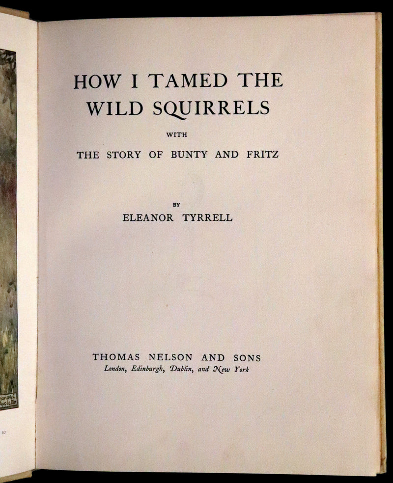 1914 First ED - How I Tamed the Wild Squirrels illustrated by Honor C. Appleton