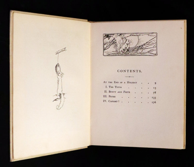 1914 First ED - How I Tamed the Wild Squirrels illustrated by Honor C. Appleton