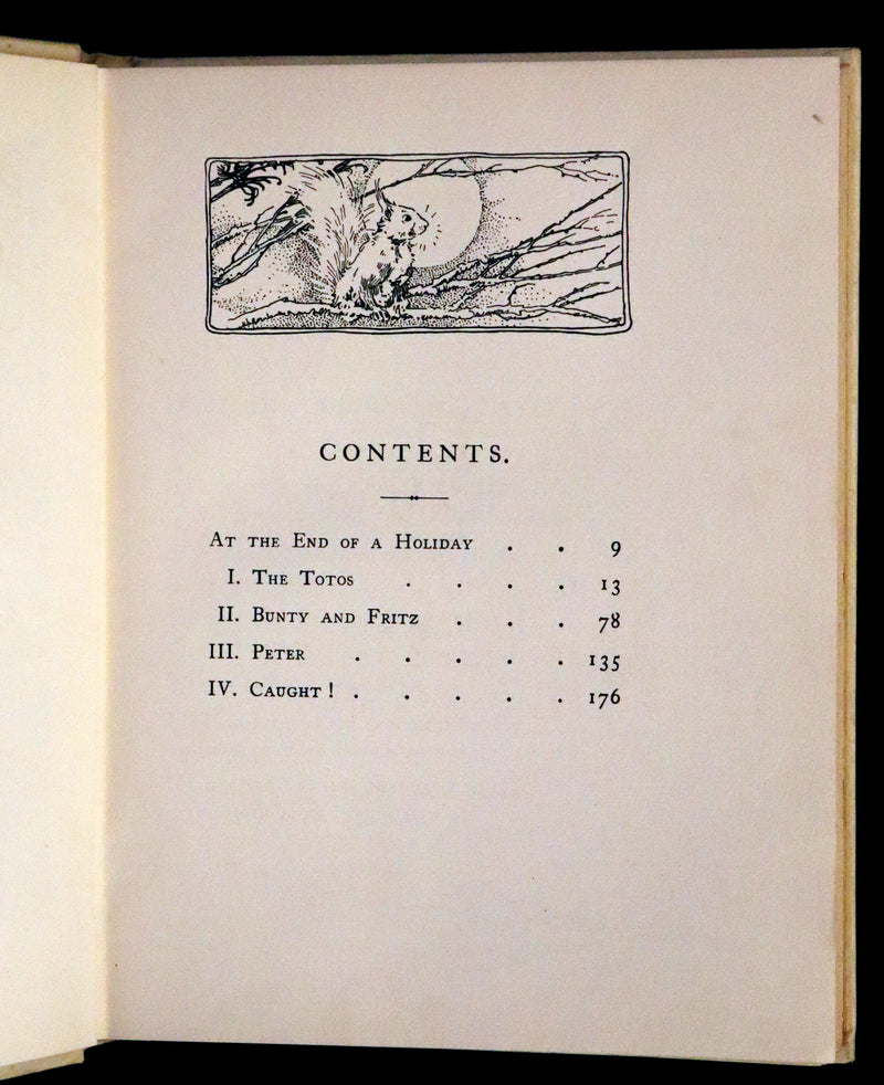 1914 First ED - How I Tamed the Wild Squirrels illustrated by Honor C. Appleton