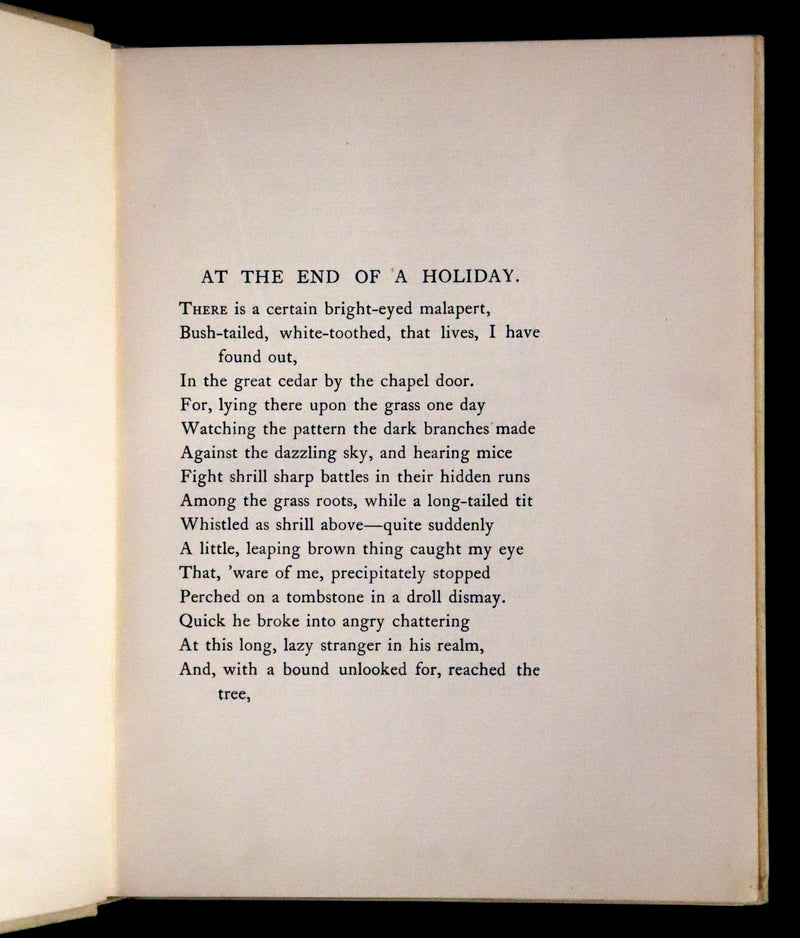 1914 First ED - How I Tamed the Wild Squirrels illustrated by Honor C. Appleton