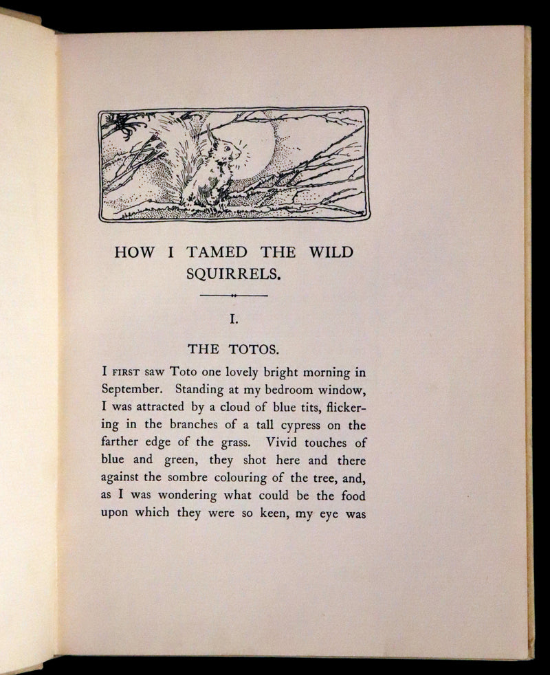 1914 First ED - How I Tamed the Wild Squirrels illustrated by Honor C. Appleton