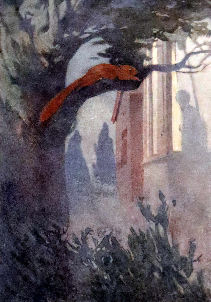 1914 First ED - How I Tamed the Wild Squirrels illustrated by Honor C. Appleton