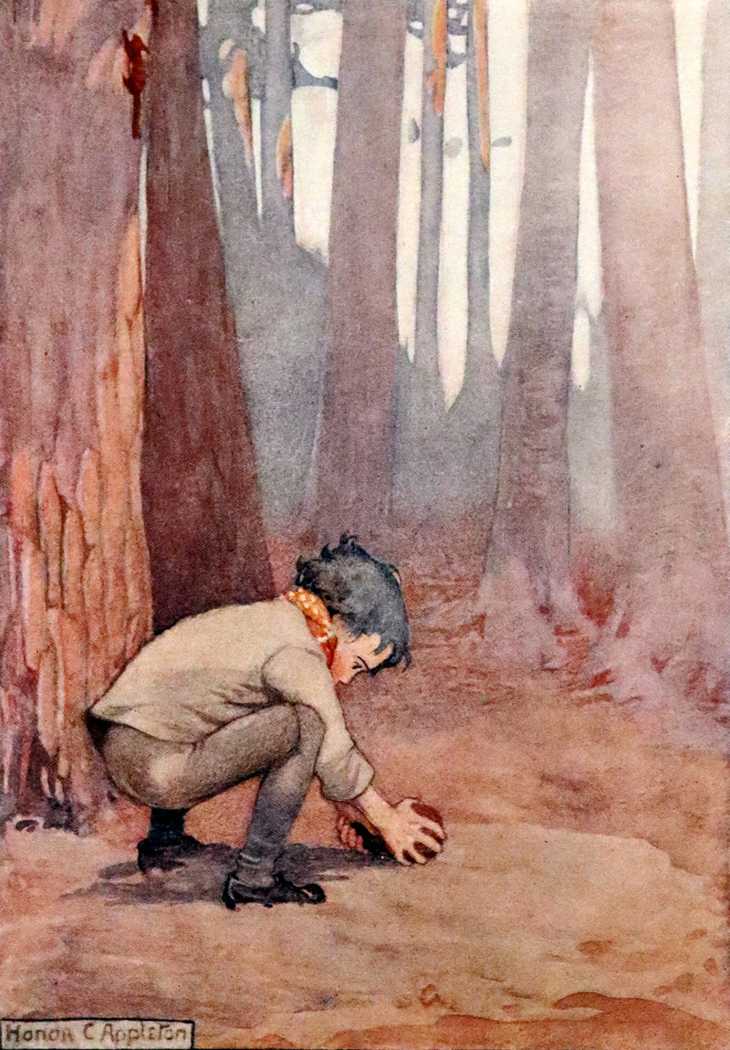 1914 First ED - How I Tamed the Wild Squirrels illustrated by Honor C. Appleton