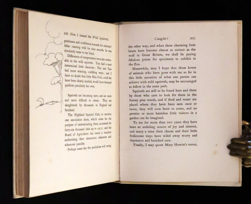 1914 First ED - How I Tamed the Wild Squirrels illustrated by Honor C. Appleton