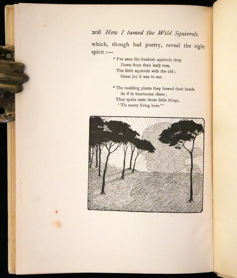1914 First ED - How I Tamed the Wild Squirrels illustrated by Honor C. Appleton