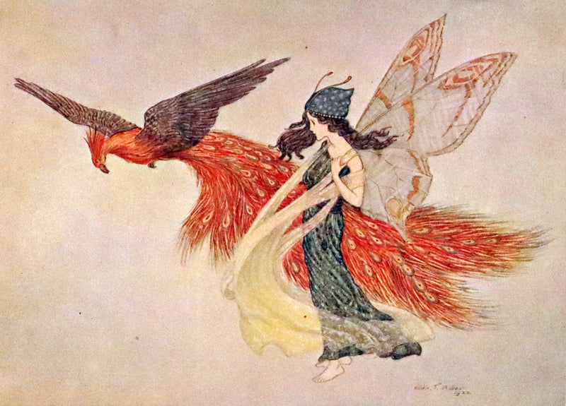 1923 First Edition- The Rose Fyleman Fairy Book Illustrated by Hilda T. Miller