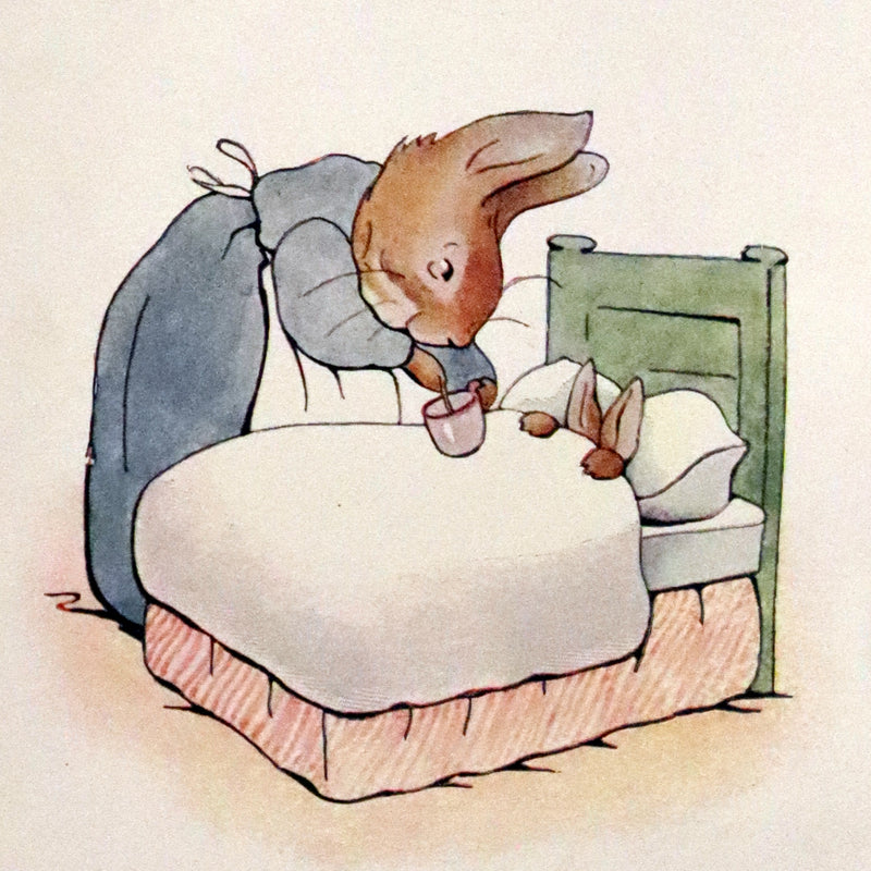 1910 Rare Edition - The Tale of Peter Rabbit illustrated by Beatrix Potter