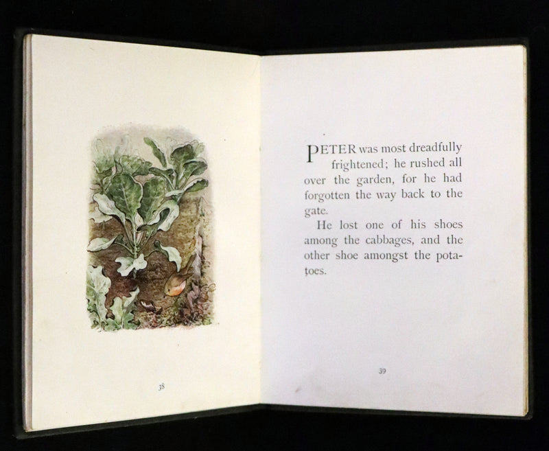 1910 Rare Edition - The Tale of Peter Rabbit illustrated by Beatrix Potter