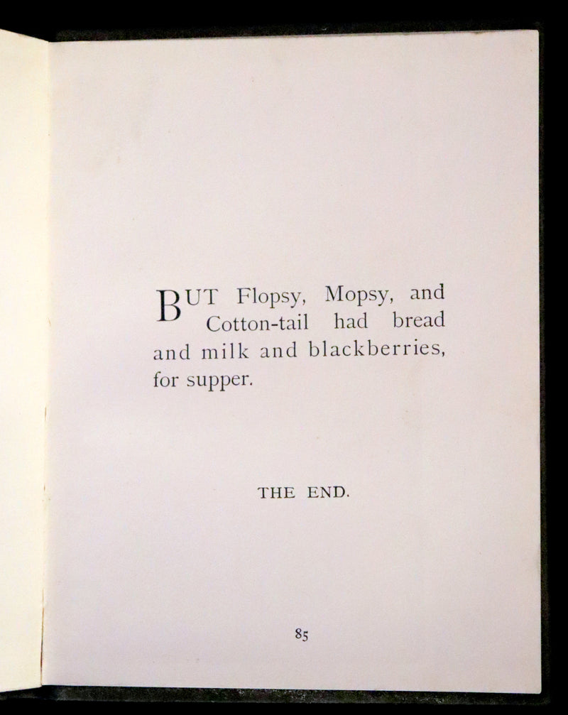 1910 Rare Edition - The Tale of Peter Rabbit illustrated by Beatrix Potter